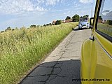 Zandlemig Vlaanderen